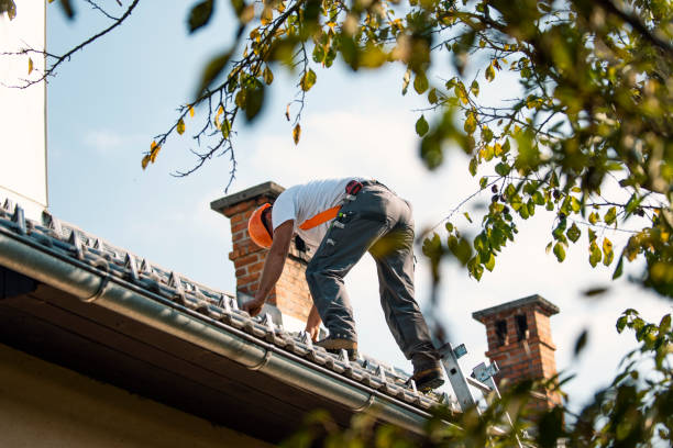 Best Storm Damage Roof Repair  in Chehalis, WA