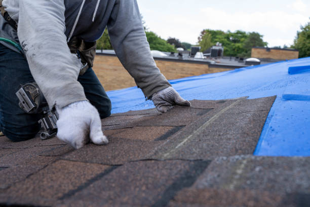 Quick and Trustworthy Emergency Roof Repair Services in Chehalis, WA